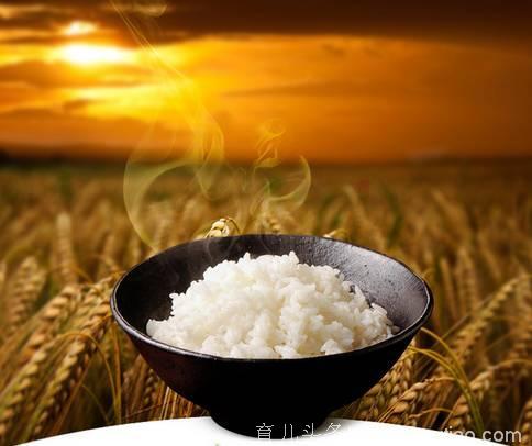 馒头PK米饭，谁的营养更胜一筹？
