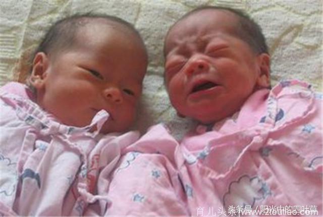 产房里孕妈生下双胞胎女儿，产房外老丈人却被女婿暴打