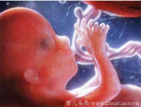 车祸后被迫流产该如何索赔，肚子里的胎儿多大才算一个人？