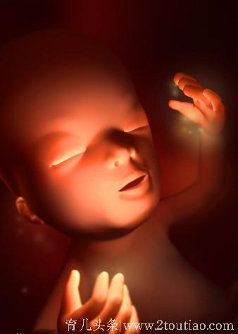 3D孕育的形成 清晰知道每一周 宝宝的状态 快来点击收藏吧！