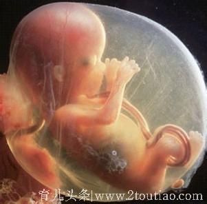 孕妇坚持不剖腹，肚子里胎儿窒息死亡，到底谁能决定胎儿的生死？