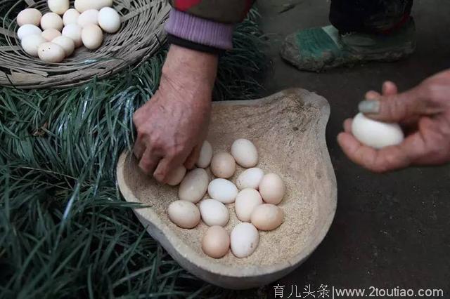 苹果鸡蛋羹，“老司机”宝妈这样做