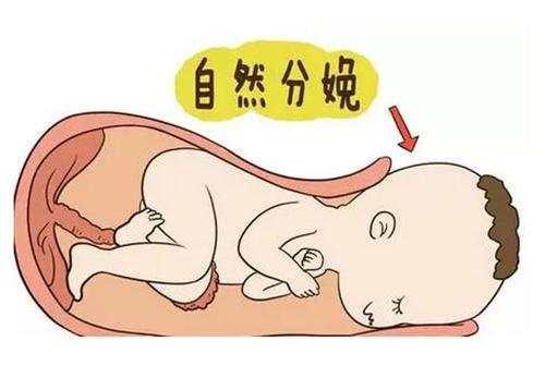 不听医生劝阻坚持顺产生下10斤巨婴，接下来一家人都哭了