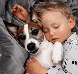 狗狗和宝宝一起睡着，醒来后不敢乱动，怕吵醒搂着它睡觉的宝宝！