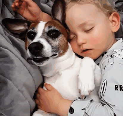 狗狗和宝宝一起睡着，醒来后不敢乱动，怕吵醒搂着它睡觉的宝宝！
