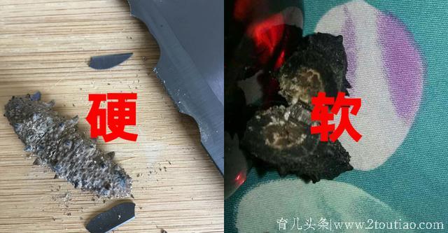 吃这么久海参，知道怎么选吗？6张对比图让劣质海参无可遁形！