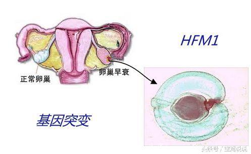 孕产后“忽略”这件事，影响的不仅仅是夫妻感情，你真的要重视