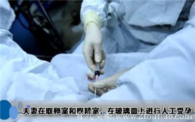 让你瞬间了解试管婴儿全过程（图解），看完真的心疼女人一万遍