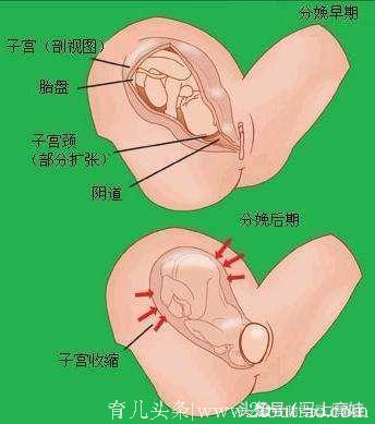 胎儿入盆啥感觉？4个信号告诉你要生了！胎儿入盆后要注意什么？