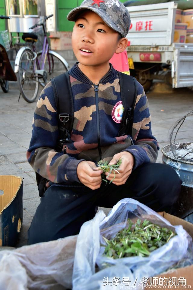 赤峰初中男孩自食其力，晚上放学后上山挖野菜，早市卖完去上学