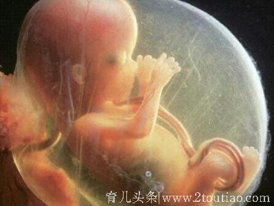 生完宝宝后，你的胎盘哪去了？