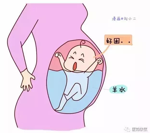 你以为胎儿在妈妈肚子里过着“冷宫”生活？可比你想象的有趣多了