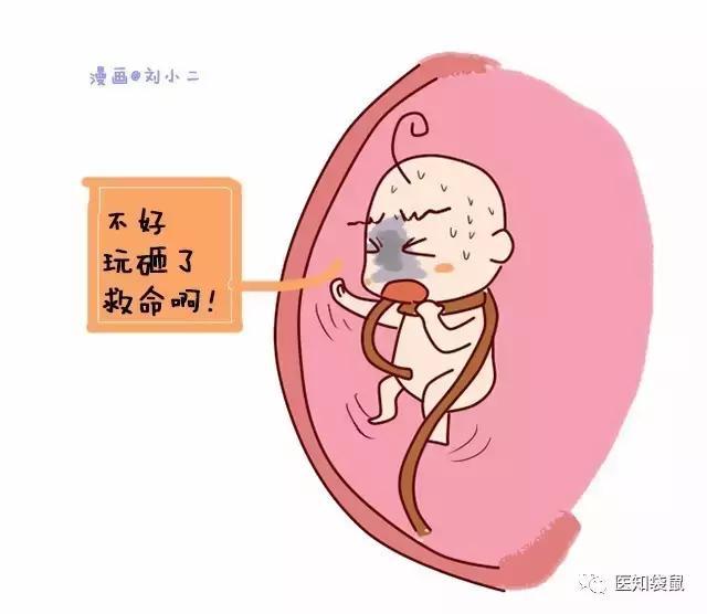 怀胎十月，胎儿在妈妈肚子里都做些啥？原来生活这么丰富！