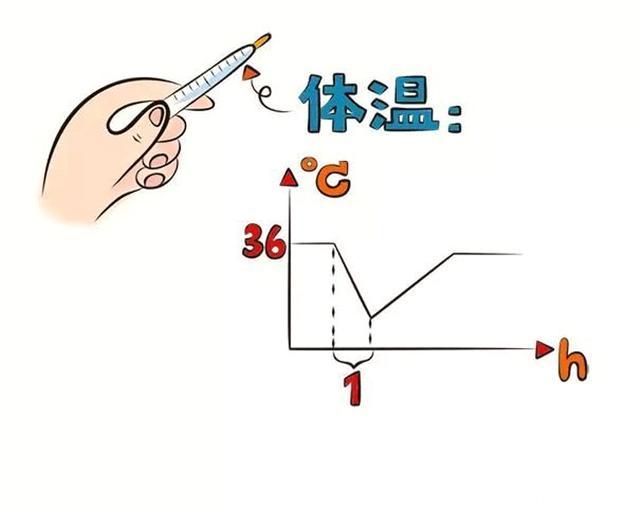 让我们来了解一下刚出生的小宝宝