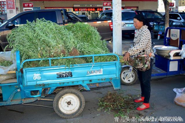 农村大嫂，端午节拔了一车艾蒿，给孩子换了一身衣服，还买了玩具