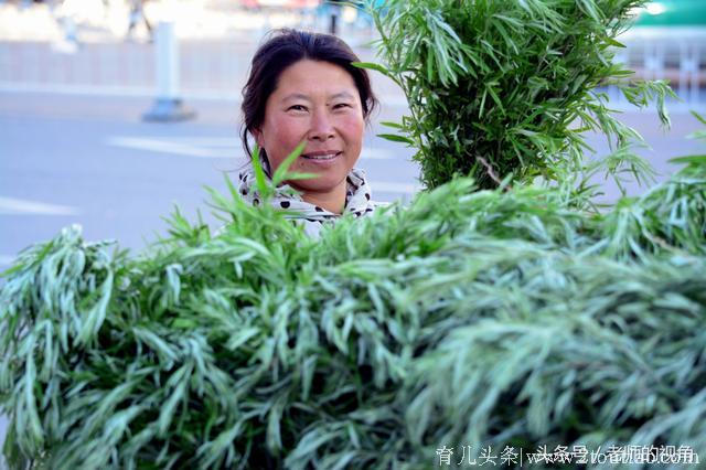 农村大嫂，端午节拔了一车艾蒿，给孩子换了一身衣服，还买了玩具