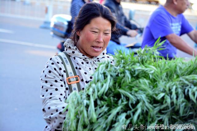 农村大嫂，端午节拔了一车艾蒿，给孩子换了一身衣服，还买了玩具