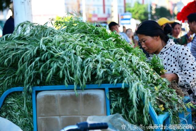 农村大嫂，端午节拔了一车艾蒿，给孩子换了一身衣服，还买了玩具