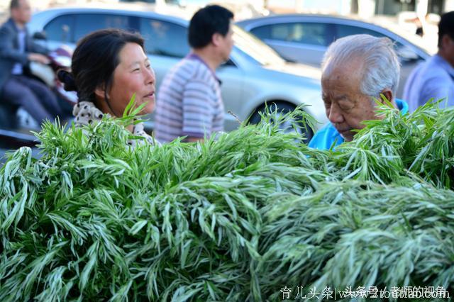 农村大嫂，端午节拔了一车艾蒿，给孩子换了一身衣服，还买了玩具