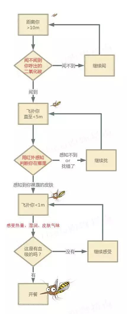 驱蚊产品哪种有用？热门产品亲测推荐！