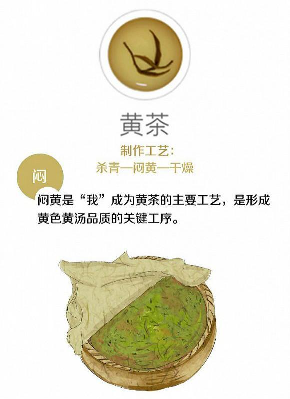 六大茶类的真相到底有什么不为人知的区别？带你一探究竟