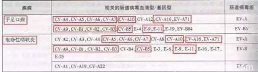 今年手足口病和疱疹性咽峡炎特别凶猛！全攻略在这里！