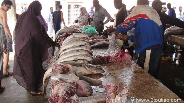 在非洲钓鱼的日子，鱼多没人钓，海鲜随便吃