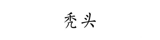 夫妻中谁的基因决定孩子的智商和相貌？