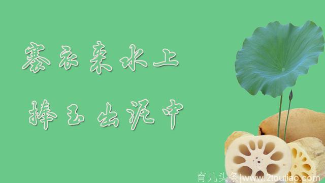 夏季养生菜谱之莲藕的16种吃方法