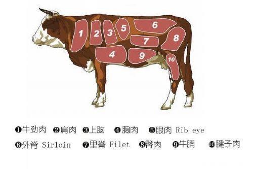 无法拒绝的诱惑，煎顶级牛排入门教程