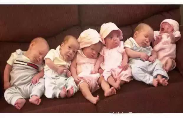 看看人家的四五六胞胎，简直萌翻了！