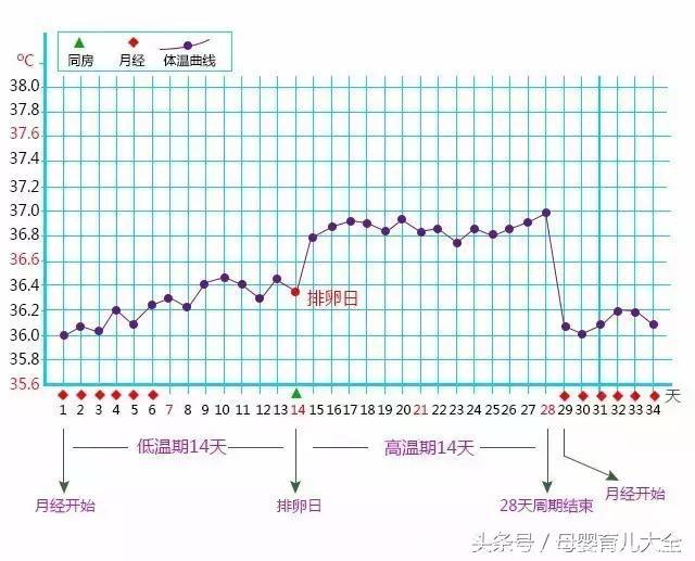 原来最佳受孕时间是这6天！好多夫妻都不知道