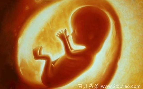 胎儿在妈妈肚子里十个月一刻都没闲着，都在做这6件事