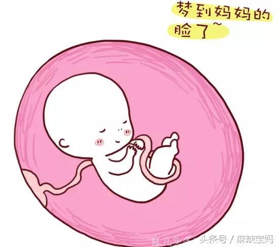 胎儿在你肚子里的时候就已经学会了这么多本领，可别小看了胎儿哦！