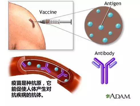 正值手足口病高发期，这份预防护理攻略一定收好