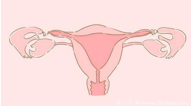 有这五种特征的女性都属于易孕体质，快看看你是不是吧！