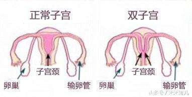 备孕三年没有结果，检查结果让夫妻二人哑口无言