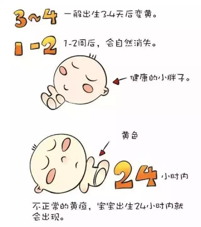 象妈妈母婴帮您解答水、葡萄糖、益生菌能退黄疸吗？