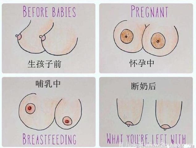 这张图完美诠释了母乳喂养，引无数妈妈强烈共鸣！