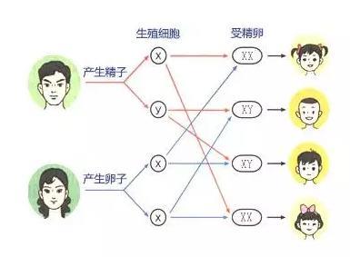 生男生女神药都有人信？苏打水、酸儿辣女，真相是这样