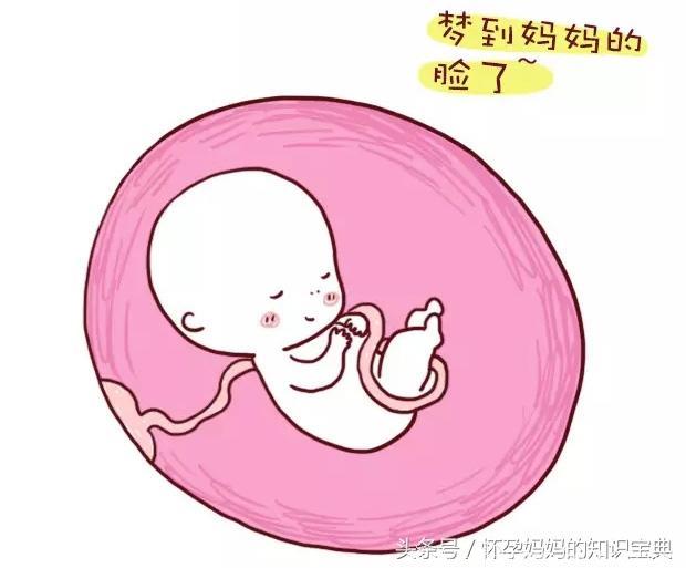 宝宝在娘胎里就已经具备这些神技能！妈妈们，你感觉到了吗？