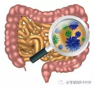 必读｜关于益生菌你必须知道的事！有效吗？对什么有效？有安全问题吗？