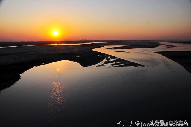 了不起的郑州：黄河岸边的鲤鱼，它为什么那么香？
