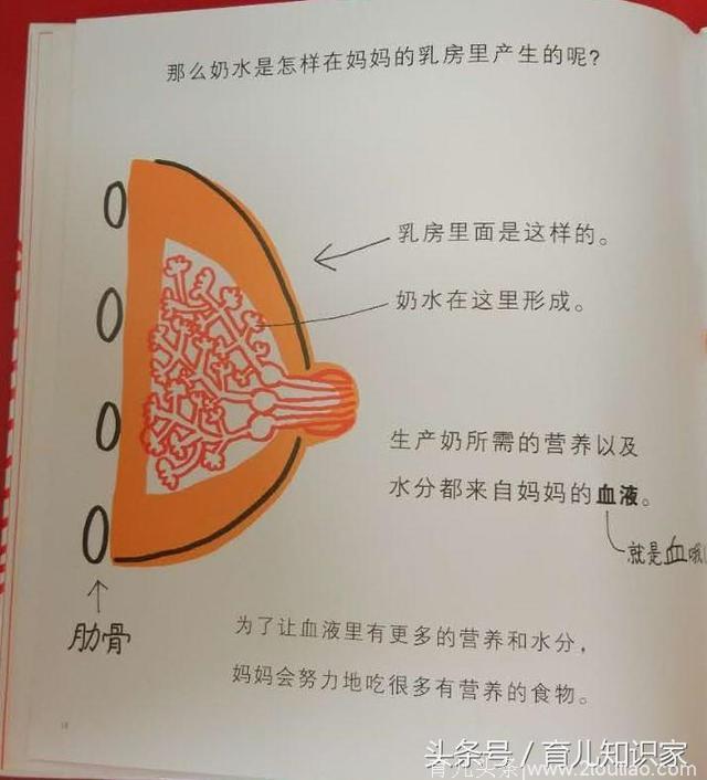 如何对孩子进行早期性教育？我是这么做的