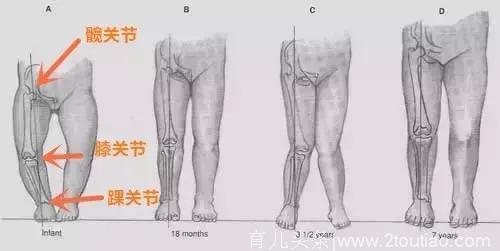 宝宝能否拥有“大长腿”，宝宝平时的腿型很关键！