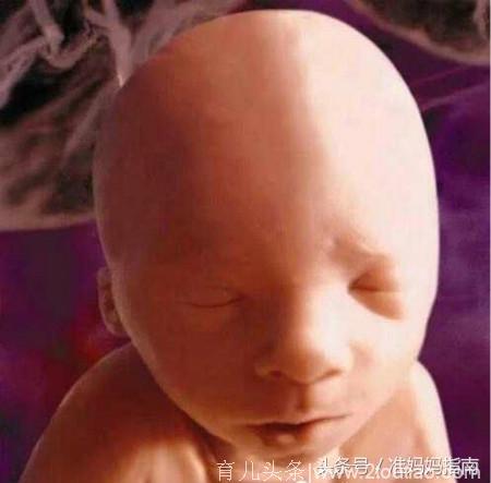 十月成长：来自子宫的胎儿自拍照