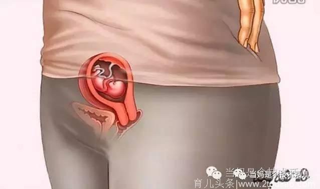 胎儿40周发育全程图解！原来怀胎十月的过程如此神奇！