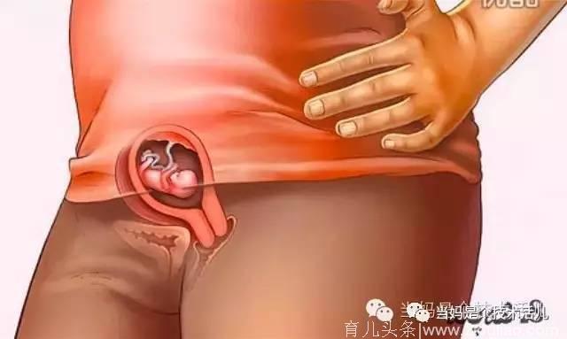 胎儿40周发育全程图解！原来怀胎十月的过程如此神奇！