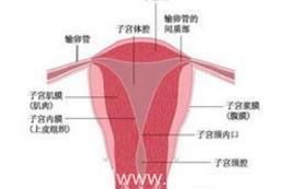 子宫内膜薄是如何造成的呢