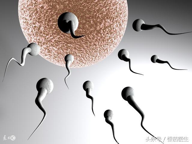 男性精子质量低，说明不能生育？